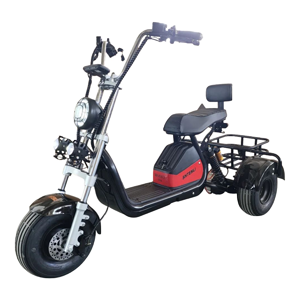 Субкатегория Citycoco трехколесные