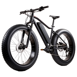 Субкатегория Фэтбайки