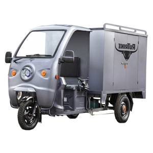 Субкатегория Грузовые электротрициклы с крышей