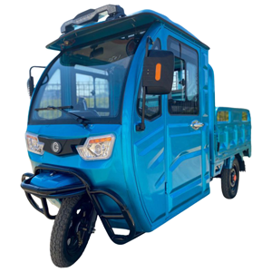 Субкатегория Электротрициклы с крышей