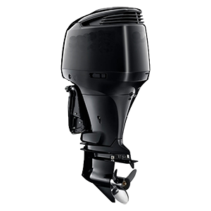 Субкатегория Моторы