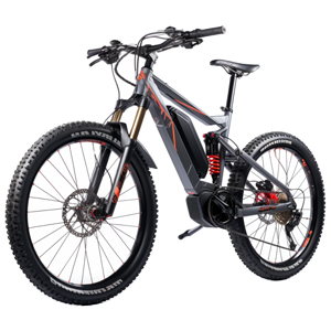 Субкатегория Горные