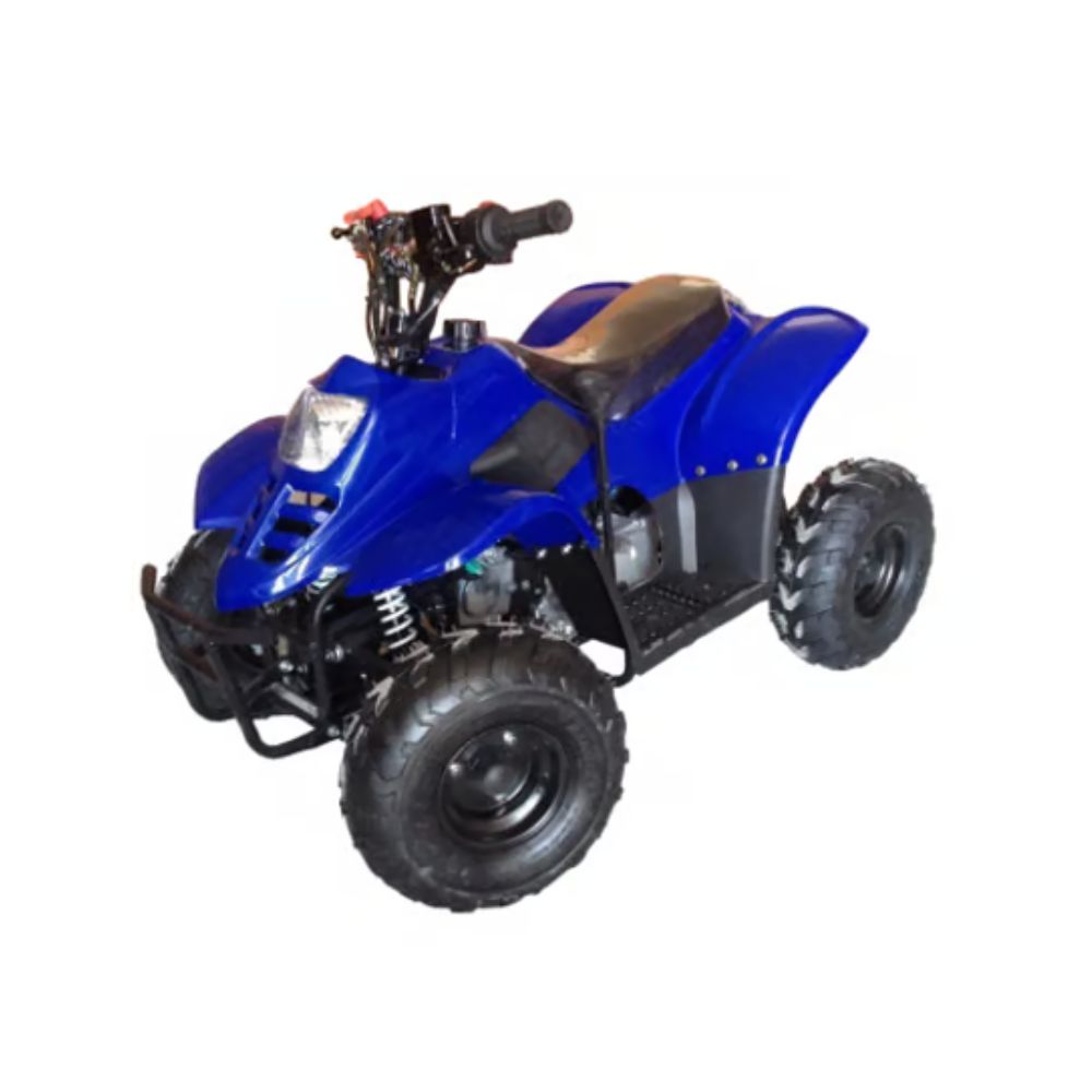 Бензиновый квадроцикл Racer Raptor 110cc