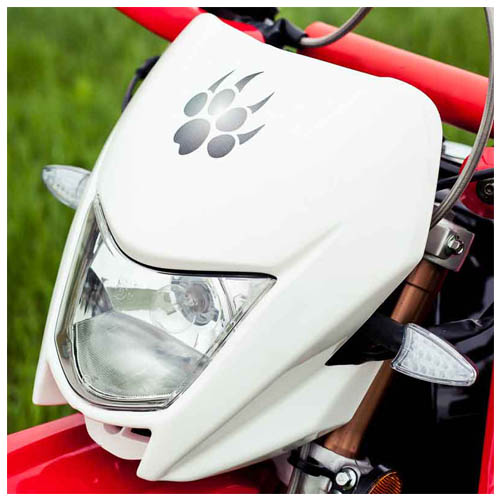 Мотоцикл IRBIS TTR 250R