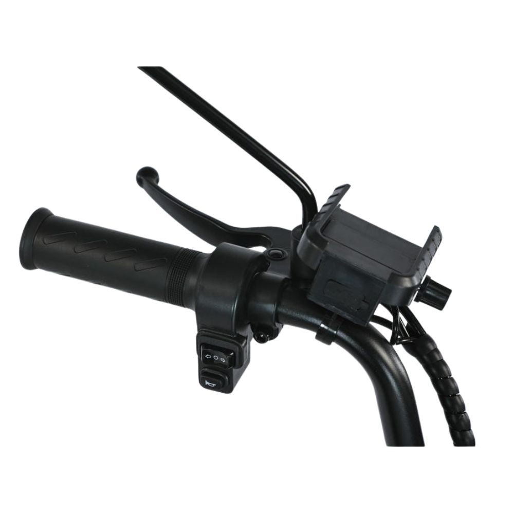 Электровелосипед SB Fiesta PRO