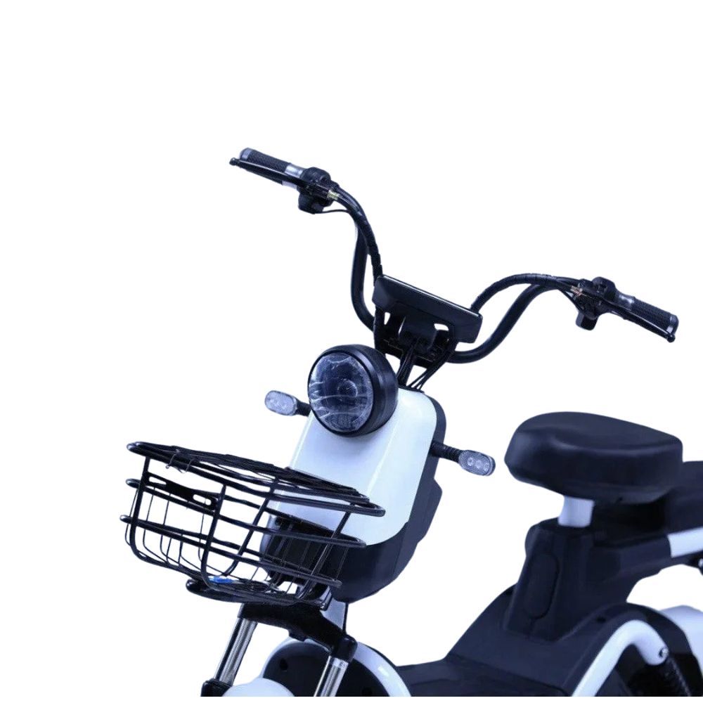 Электроскутер Shtenli Model 21 Performance Pro (аккумулятор 5шт 20Ач12В)