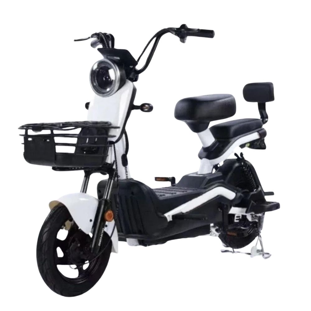 Электроскутер Shtenli Model 21 Performance Pro (аккумулятор 5шт 20Ач12В)