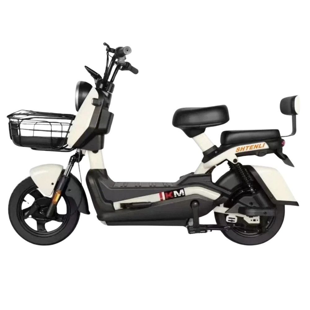 Электроскутер Shtenli Model 21 Performance Pro (аккумулятор 5шт 20Ач12В)