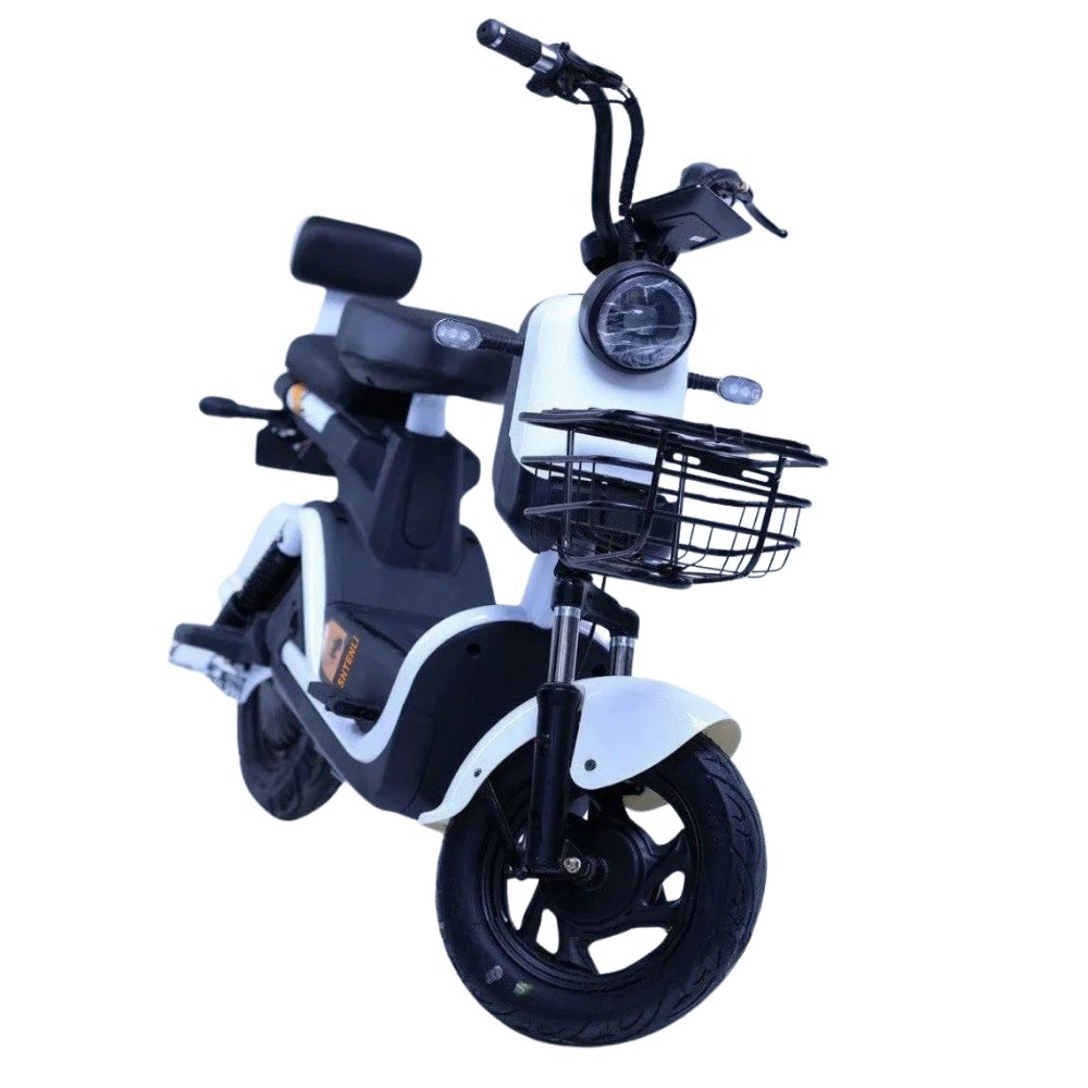 Электроскутер Shtenli Model 21 Performance (аккумулятор 4шт 20Ач12В)