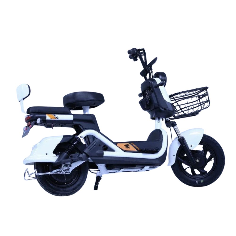 Электроскутер Shtenli Model 21 Performance (аккумулятор 4шт 20Ач12В)