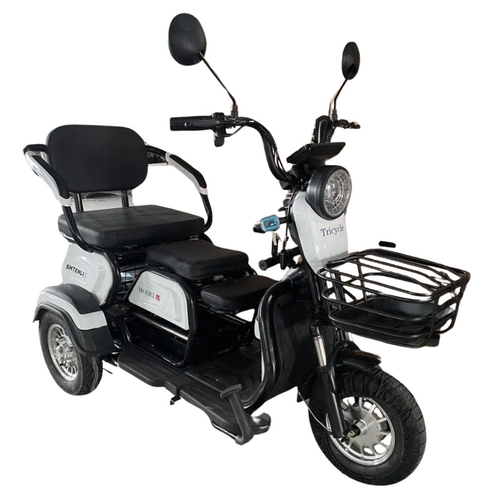 Электрический трицикл SHTENLI Model 31 SLA 20Ah48V