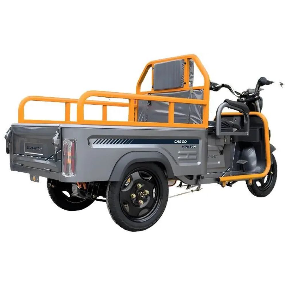 Электротрицикл грузовой AVM Cargo mini 800