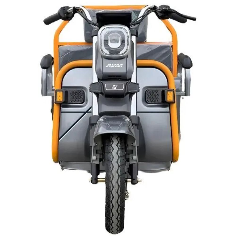 Электротрицикл грузовой AVM Cargo mini 800