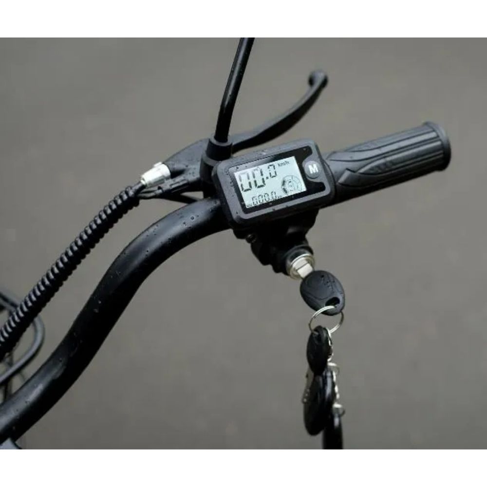 Электровелосипед AVM E-ALFA 20 Pro