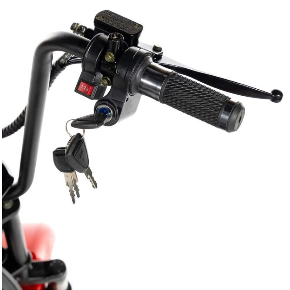 Электроскутер CityCoCo GT X5 TRIKE 1500W 15Ah48V