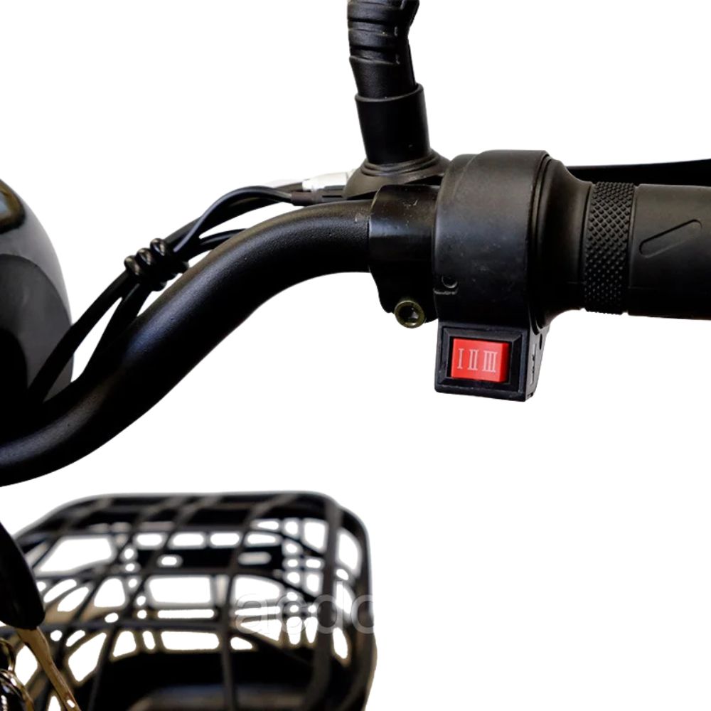 Электроскутер CityCoco GT EV2