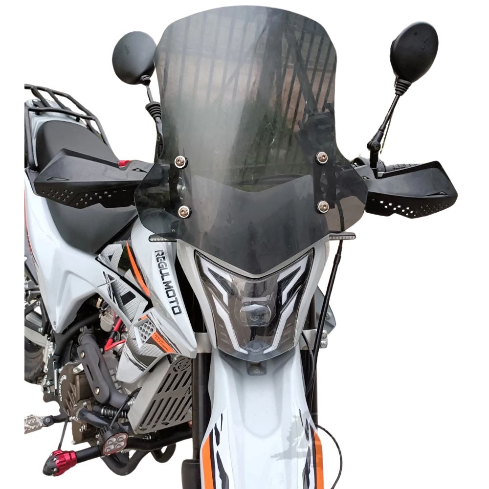 Мотоцикл Regulmoto TE PRO NB300