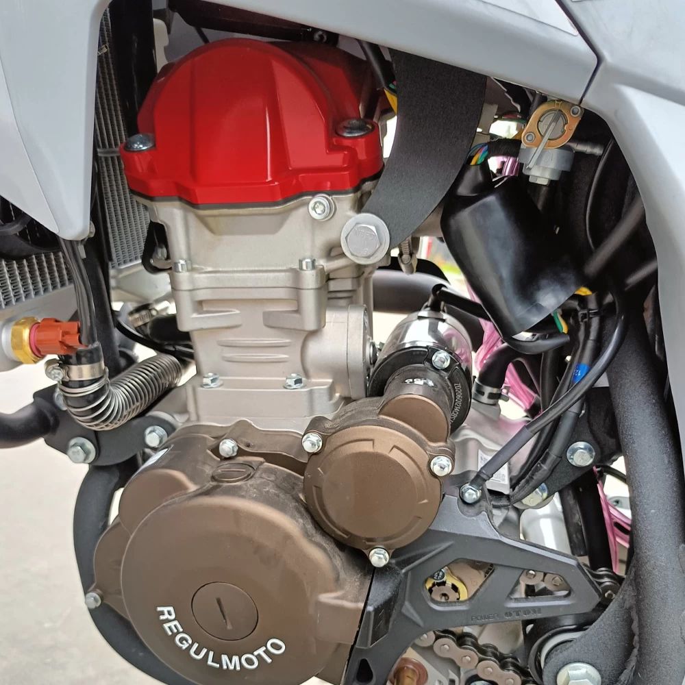 Мотоцикл Regulmoto TE PRO NB300