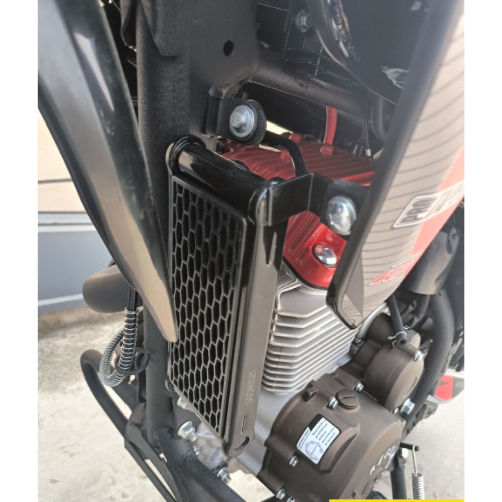 Мотоцикл Regulmoto TE 4 valve oil