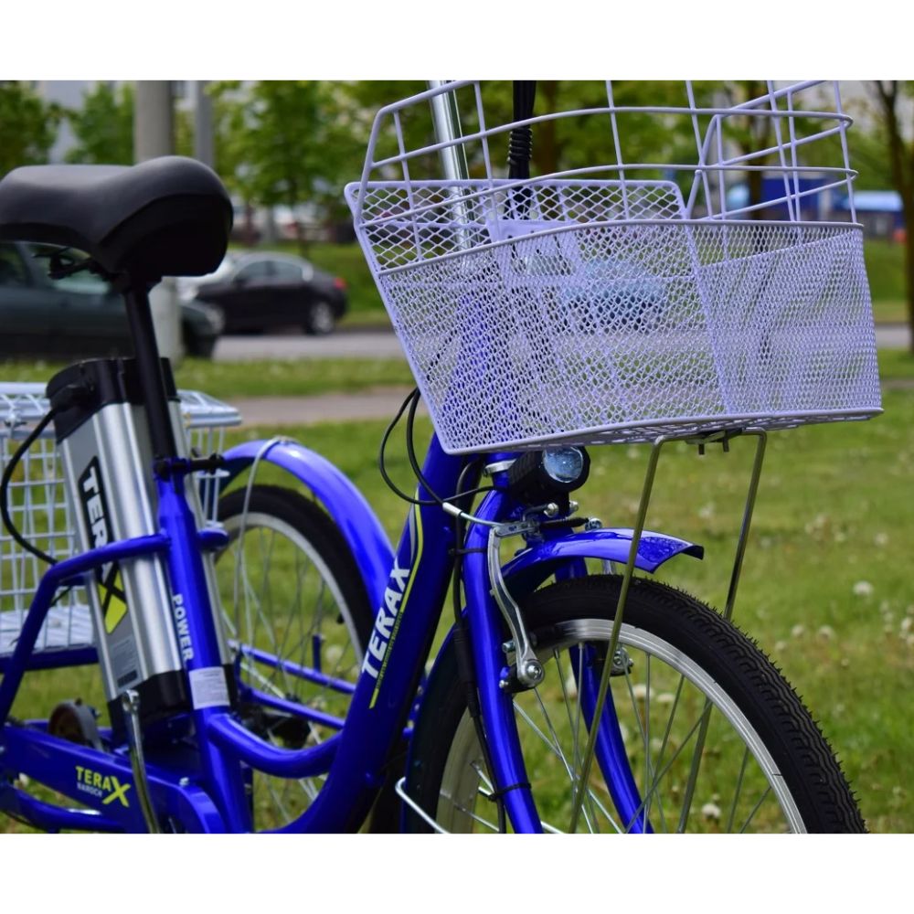 Электровелосипед трехколесный Terax NAROCH XD02