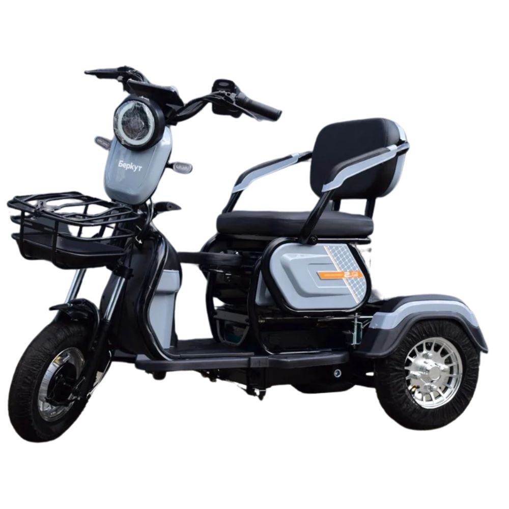 Электротрицикл Беркут