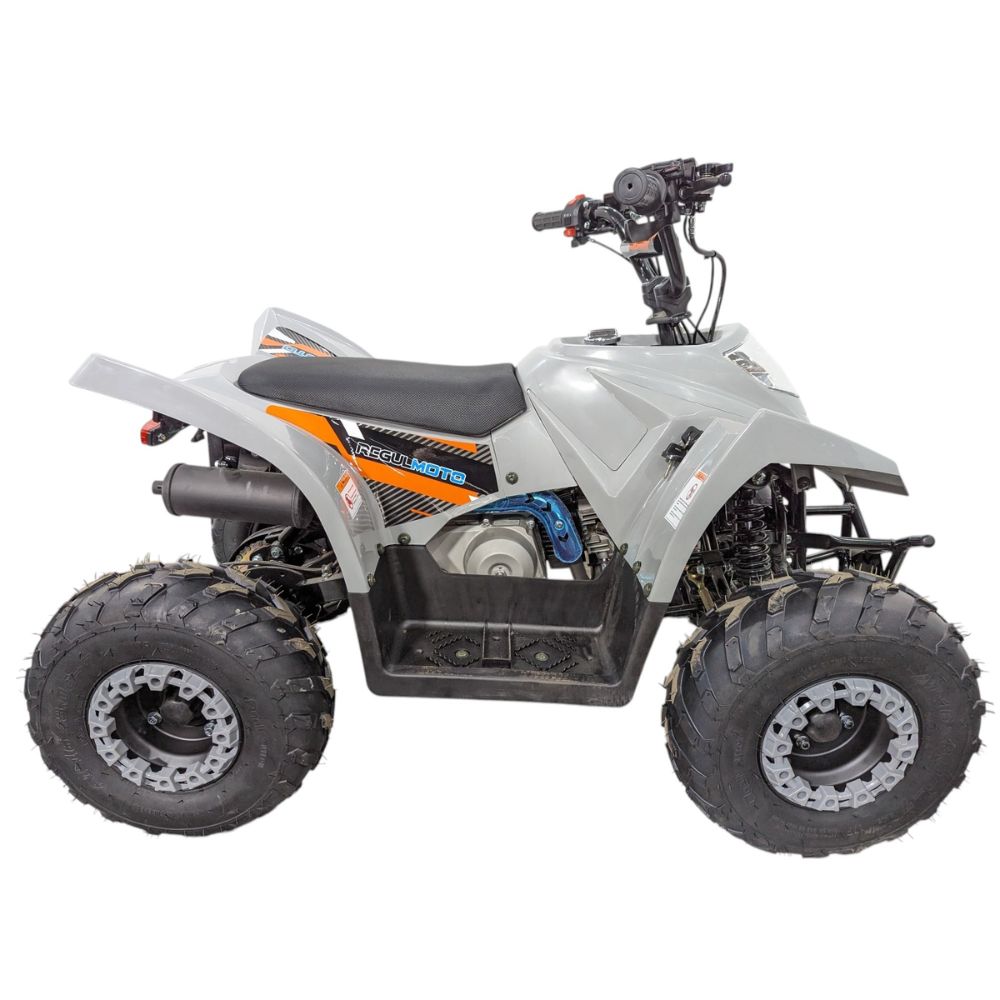Квадроцикл Regulmoto SK11 110сс