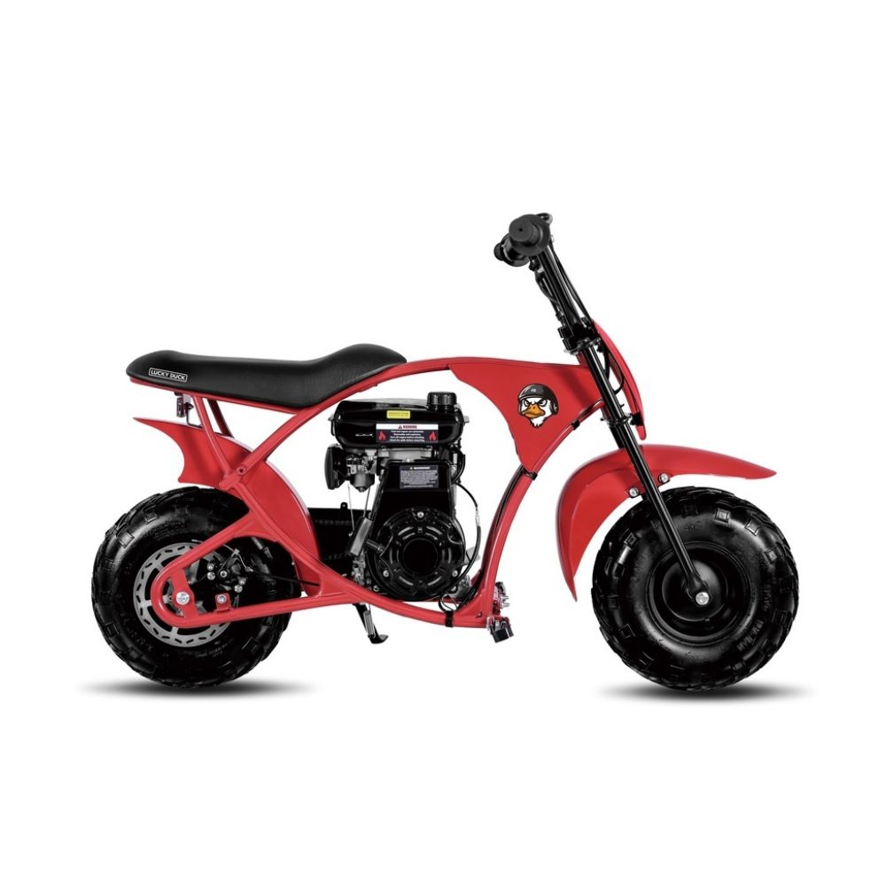 Минибайк Ranger Lucky Duck RB100