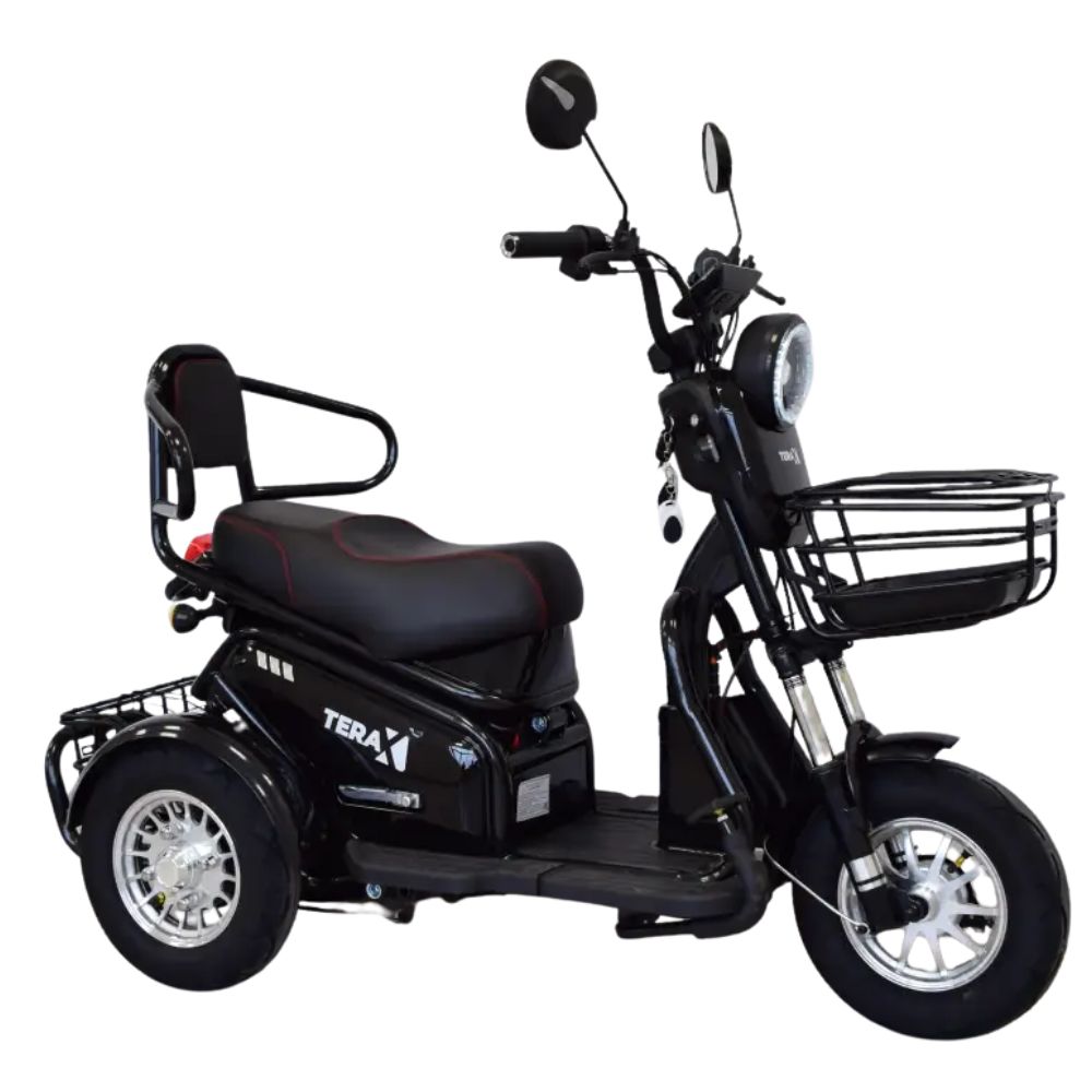 Электротрицикл Terax BIGGI