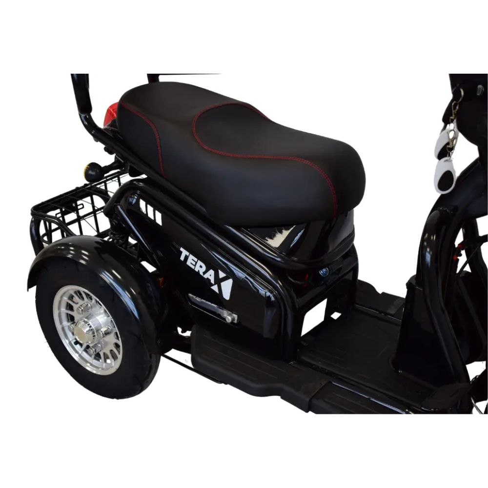 Электротрицикл Terax BIGGI