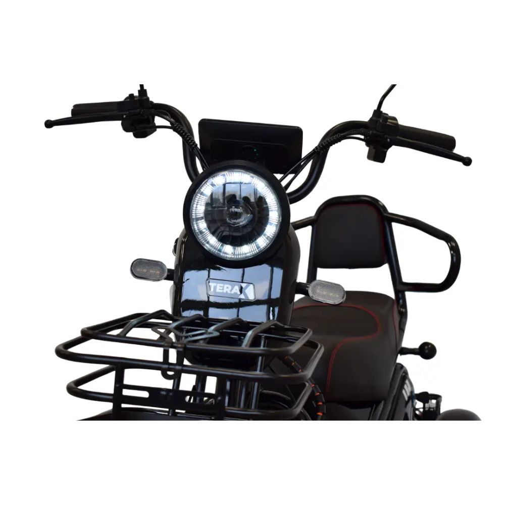 Электротрицикл Terax BIGGI