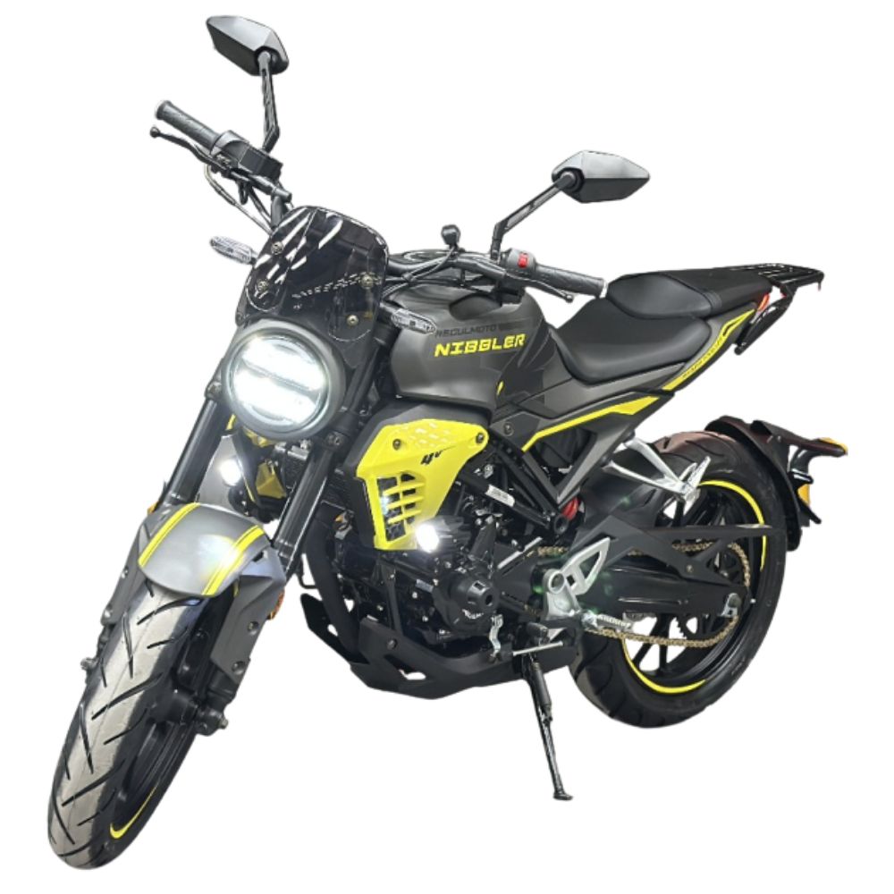 Мотоцикл Regulmoto Nibbler 300