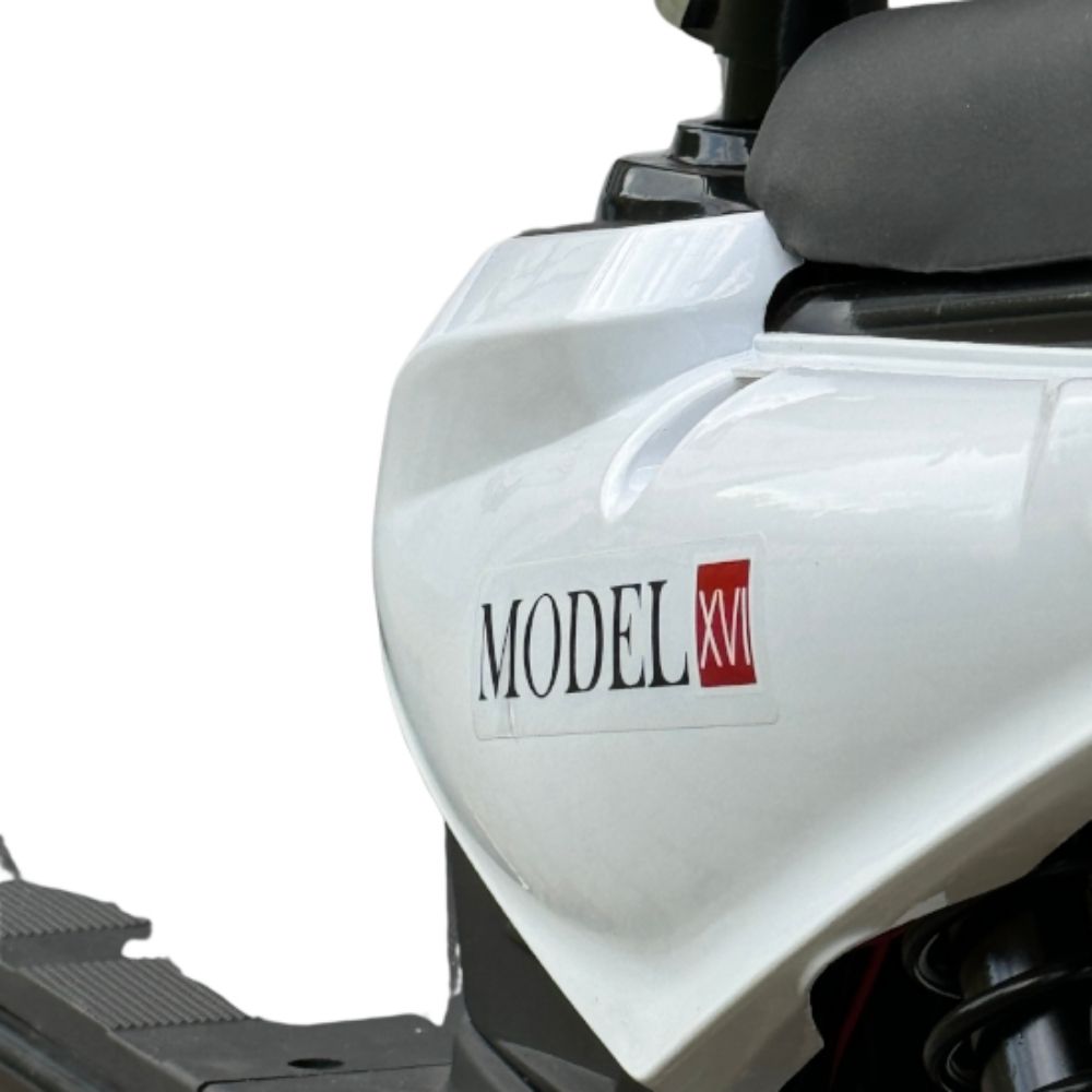 Электроскутер Shtenli Model 16 Maxi Range