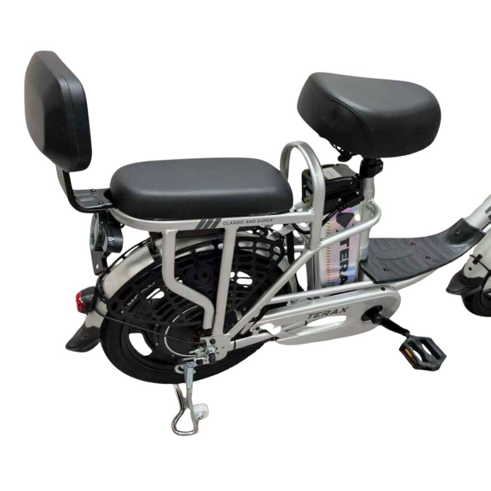 Электровелосипед Terax ROXY NS010