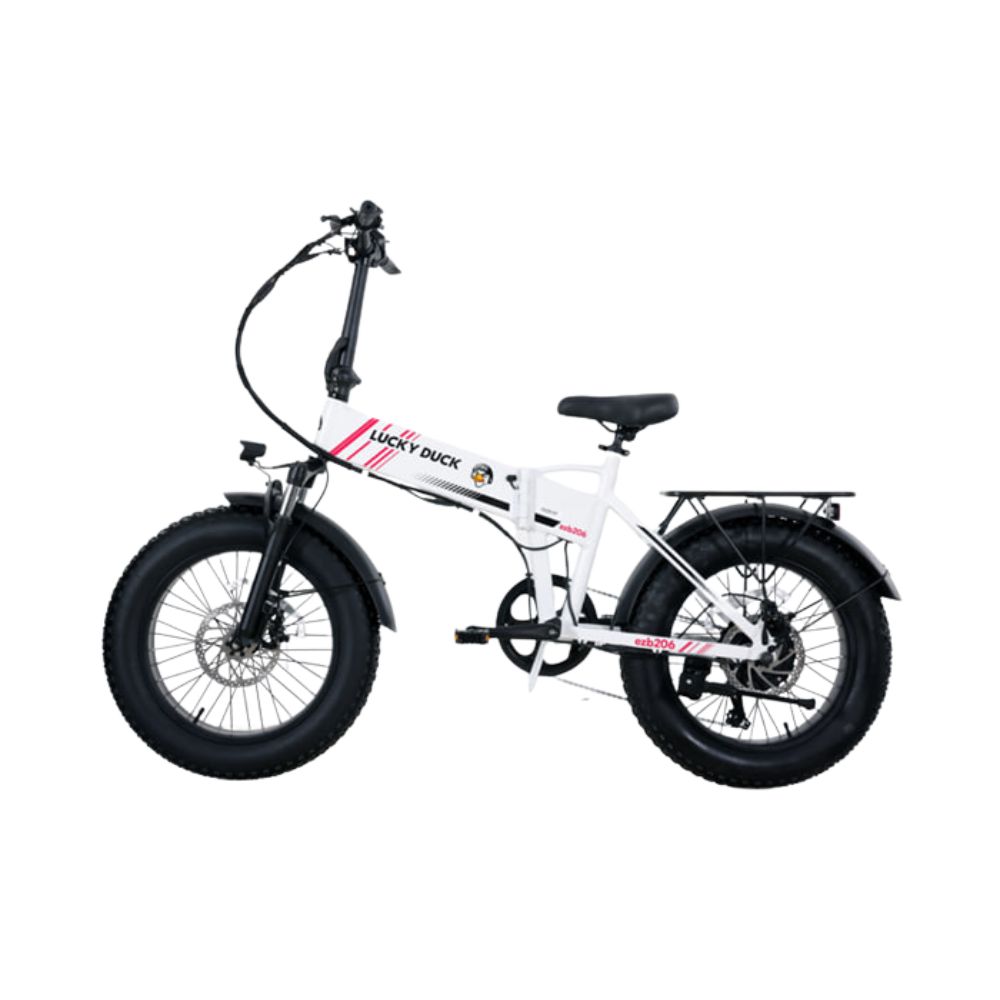 Электровелосипед складной Lucky Duck EZB206