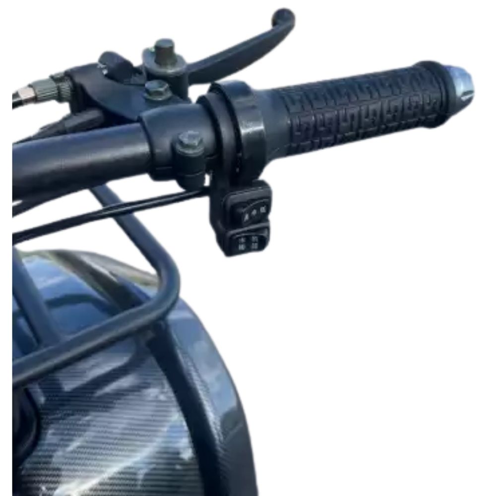 Электроквадроцикл Storm Evo 1000w