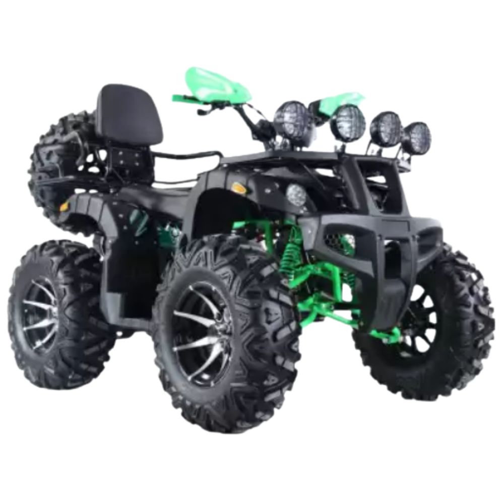 Квадроцикл ATV Storm 200 Wild Track Lux ЭПТС