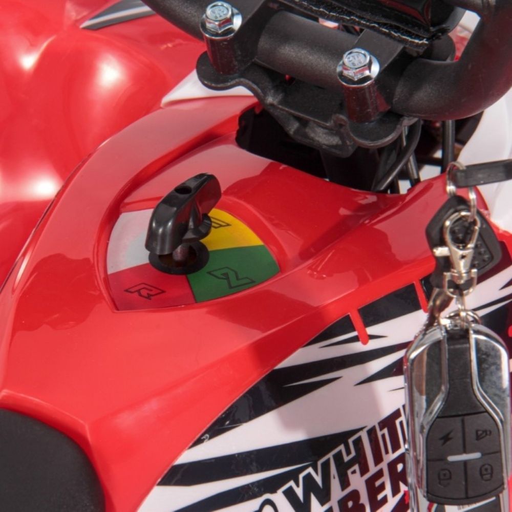 Детский электроквадроцикл White Siberia SNEG LETO R