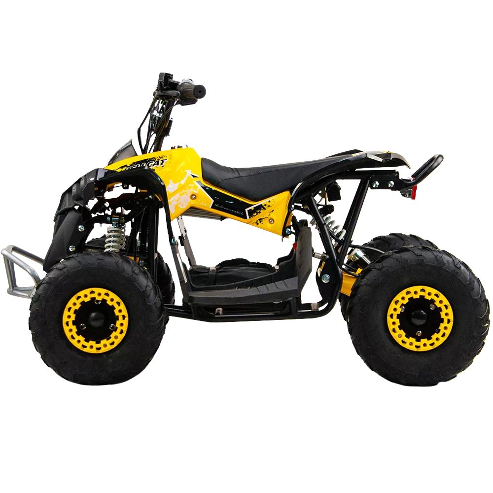 Электрический квадроцикл QMC Renegate 48V 1200W Shaftdrive