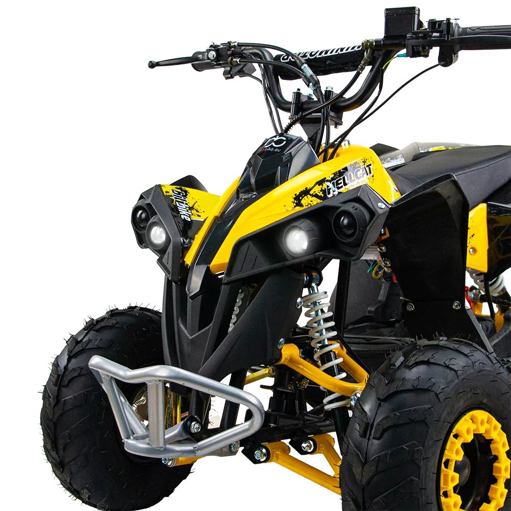 Электрический квадроцикл QMC Renegate 48V 1200W Shaftdrive