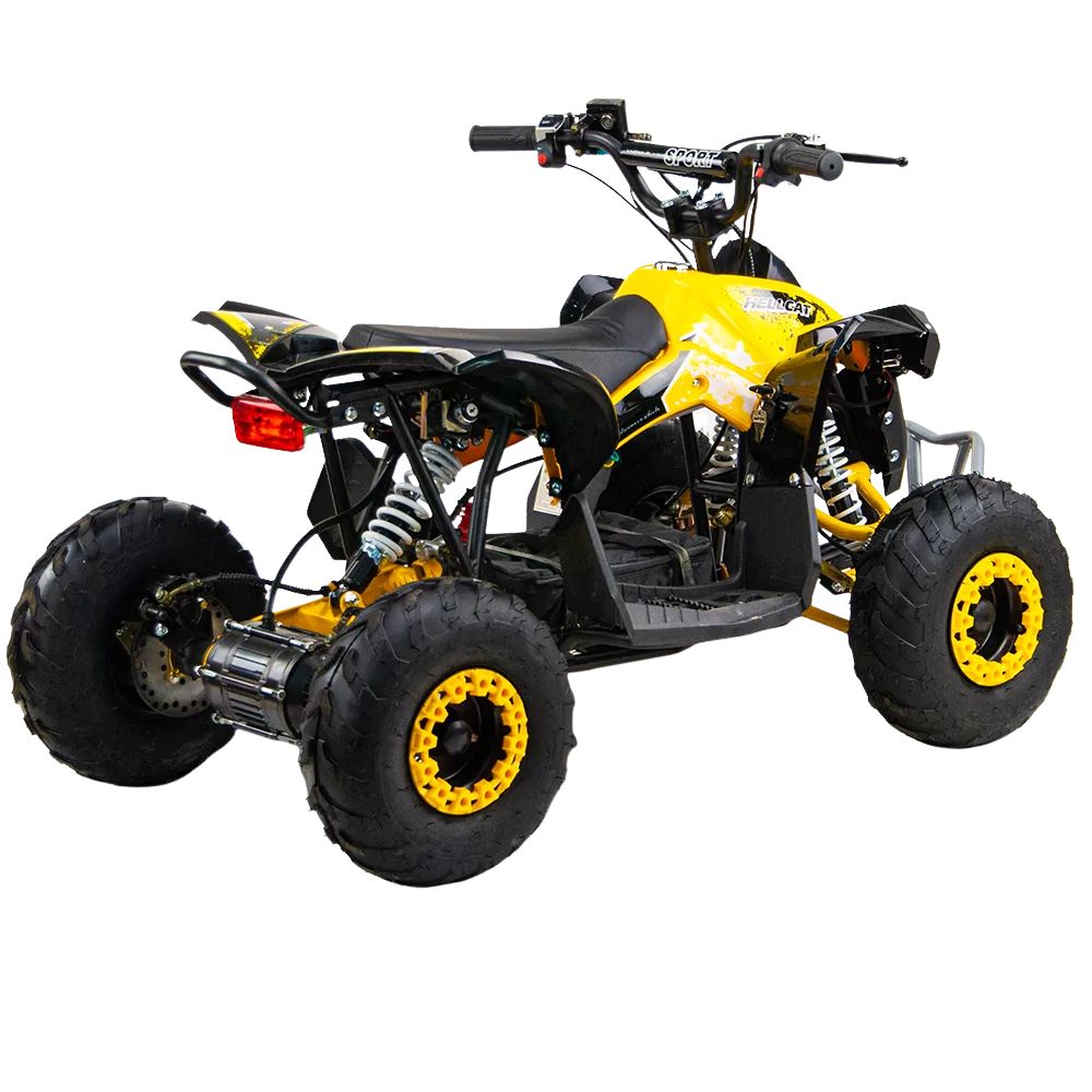 Электрический квадроцикл QMC Renegate 48V 1200W Shaftdrive