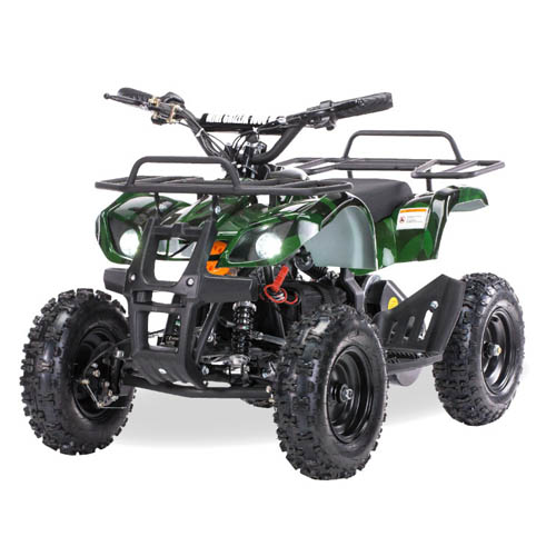 Квадроцикл электрический Motax X-16 1000w