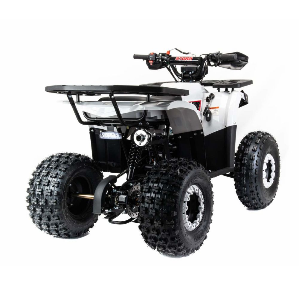 Квадроцикл Motoland Storm 125cc (мотокомплект)