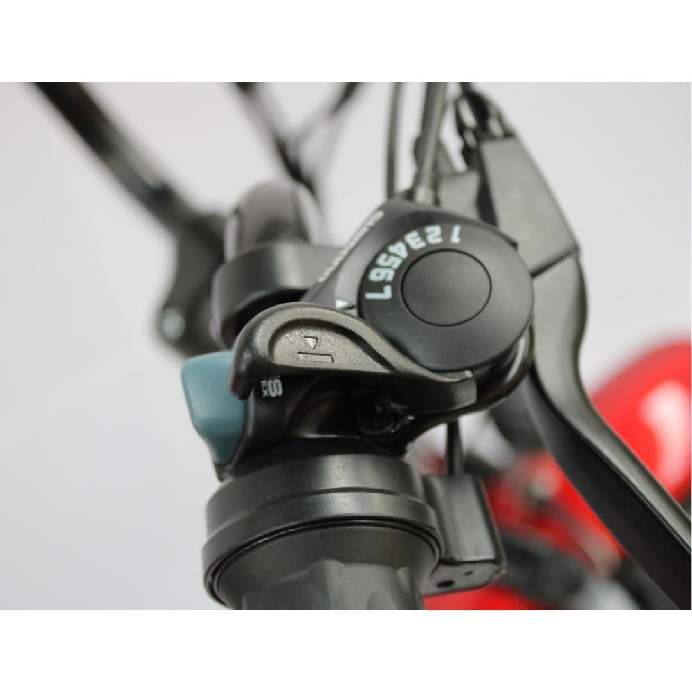 Электровелосипед GreenCamel Трайк-F20