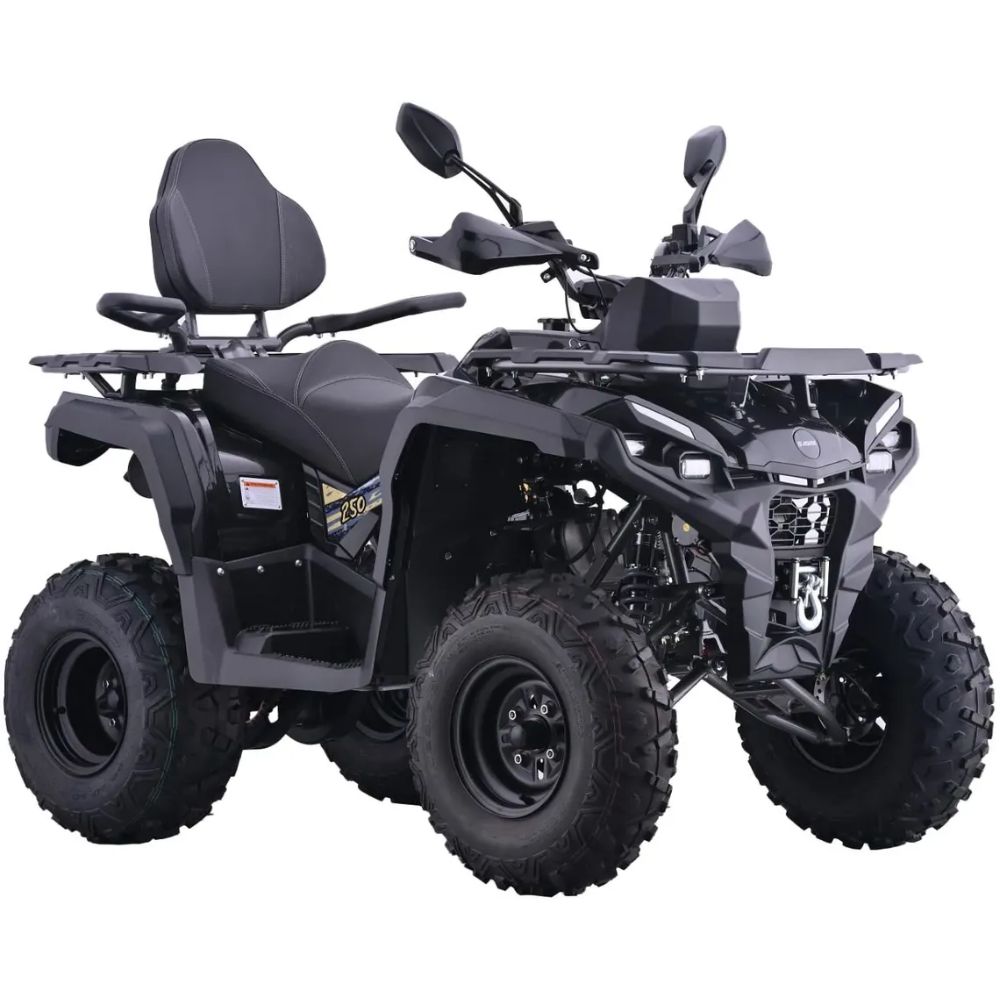 Квадроцикл AVM Adventure 250 NEW ЭПТС