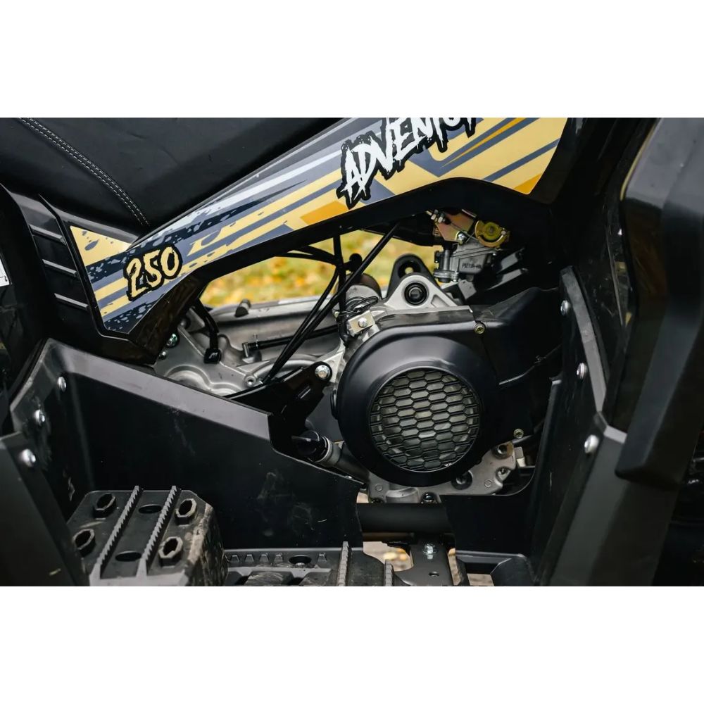 Квадроцикл AVM Adventure 250 NEW ЭПТС