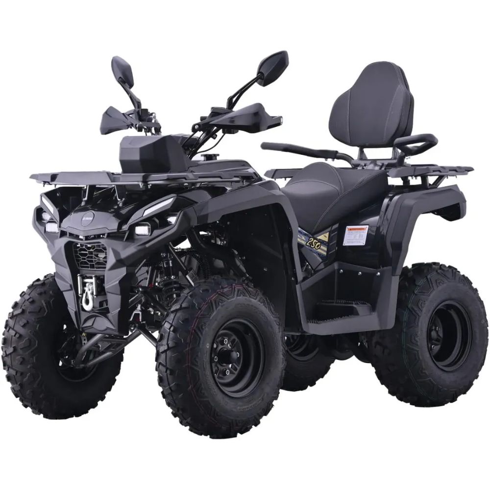Квадроцикл AVM Adventure 250 NEW ЭПТС
