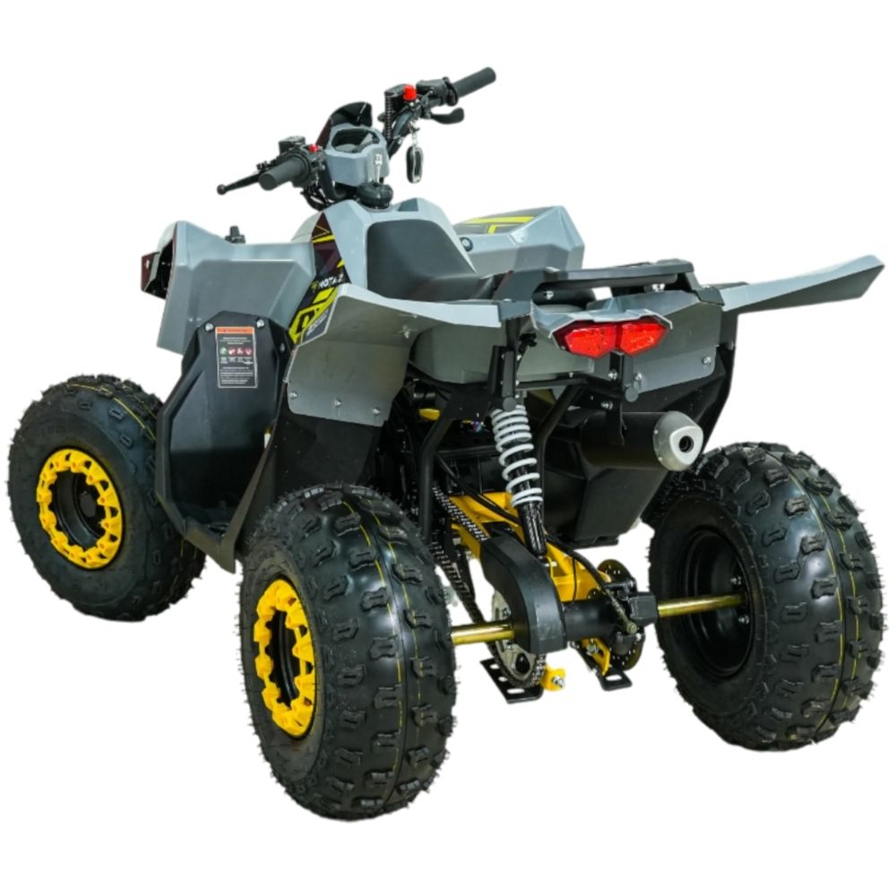 Квадроцикл бензиновый MOTAX GRIZLIK RAPTOR D125