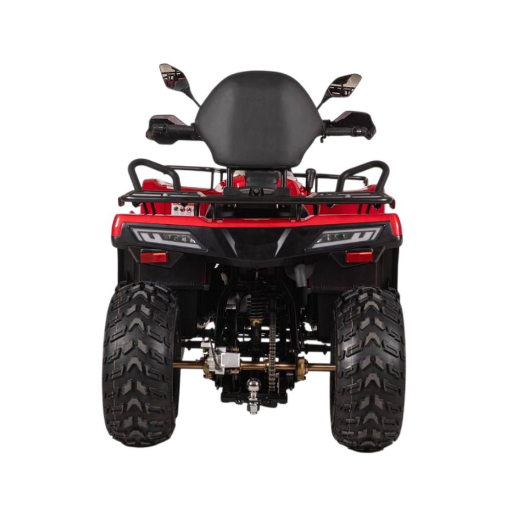 Купить электроквадрицикл Bizon YK250EL LUX