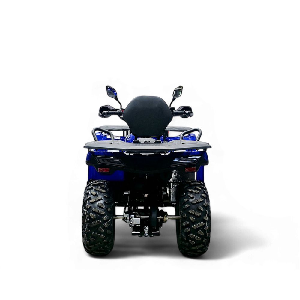 Квадроцикл Bizon YK250 LUX EFI ПТС