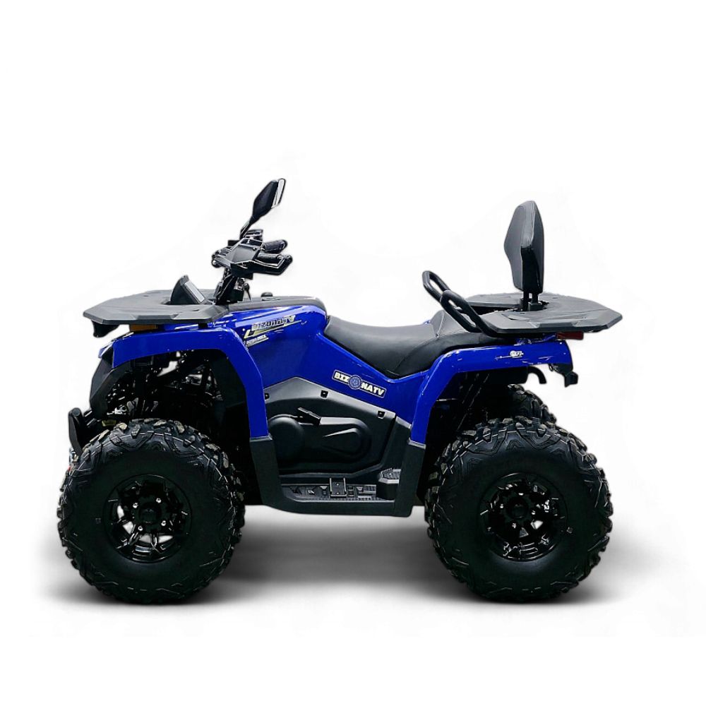 Квадроцикл Bizon YK250 LUX EFI ПТС